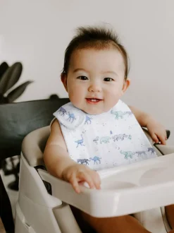 Slabbetjes*Aden + Anais Cotton Muslin Snap Bibs 3 Pack