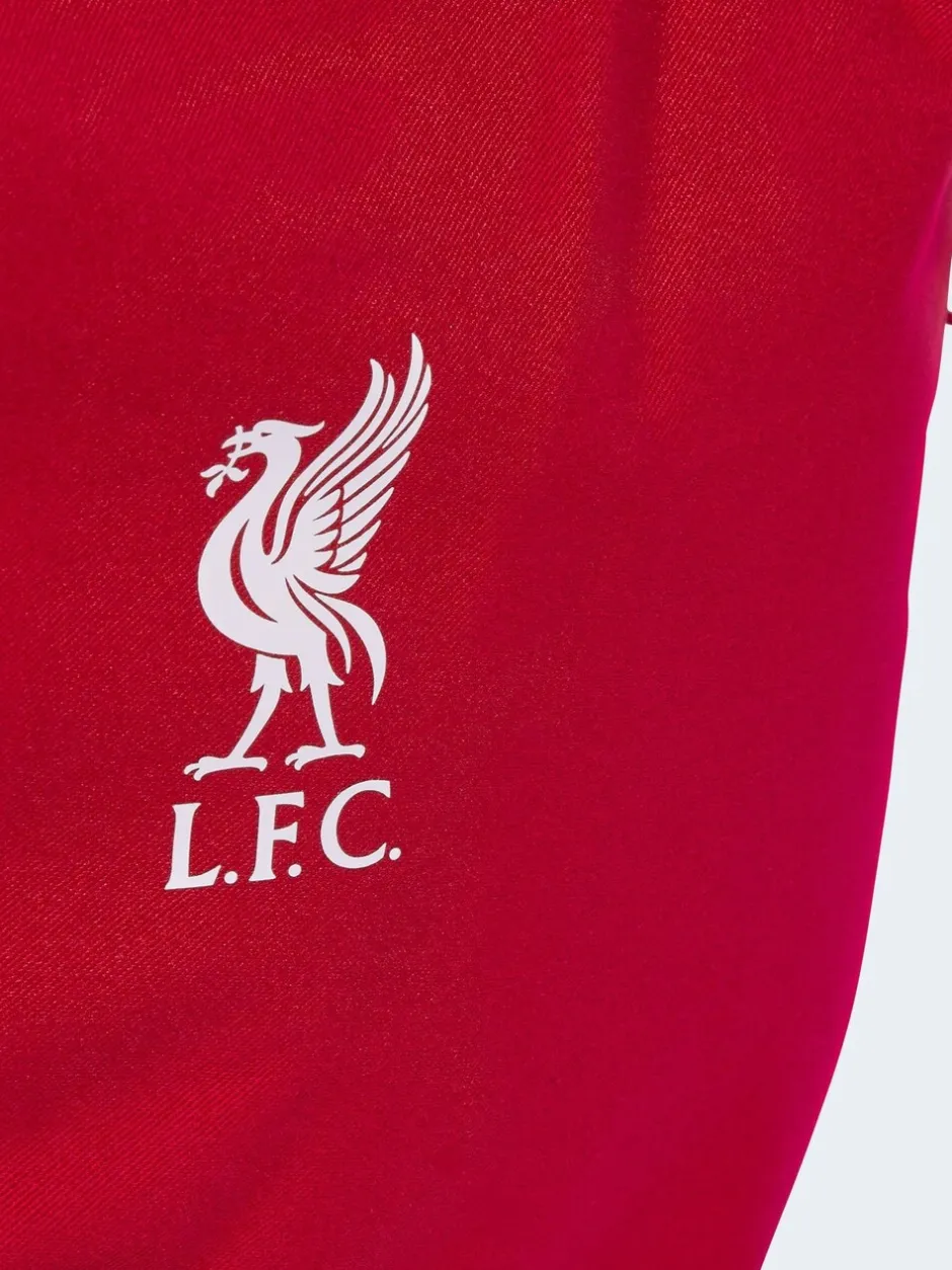Tassen|adidas Liverpool FC Backpack