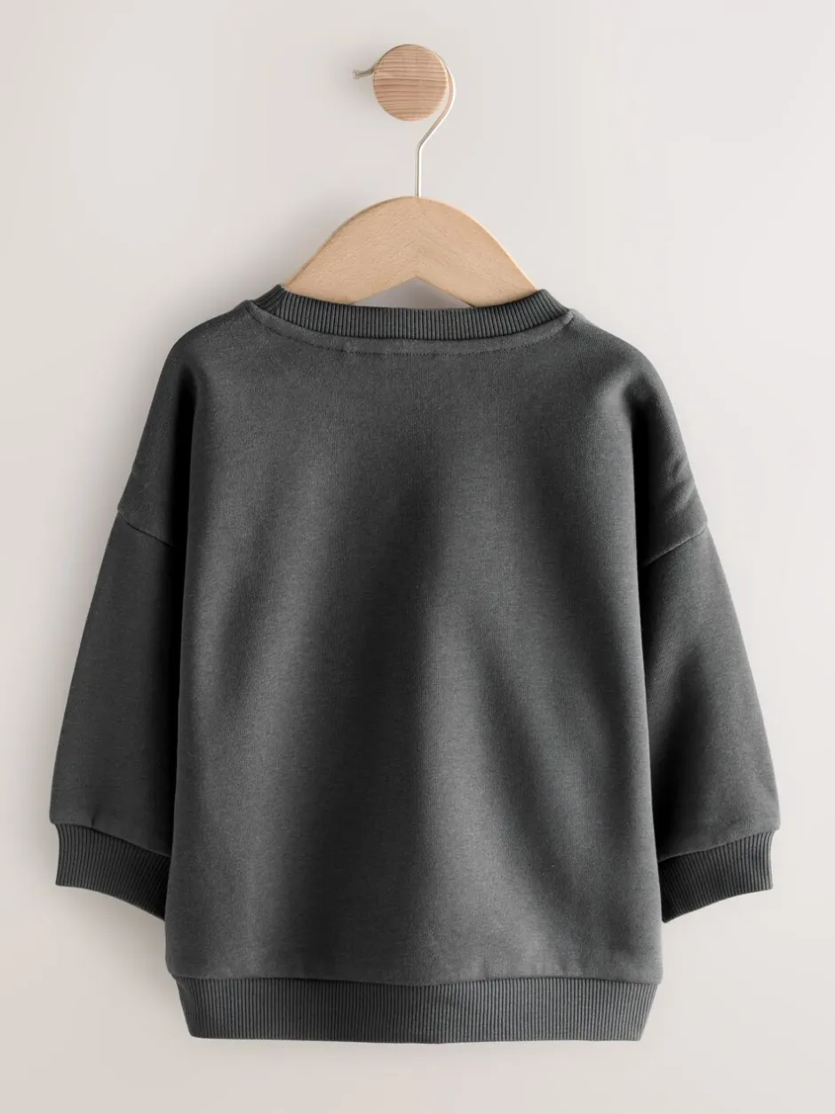 Truien En Breisels|Sweaters En Hoody´S|Next Antraciet - Sweatshirt met ronde hals en all-over print (3 mnd - 7 jr)