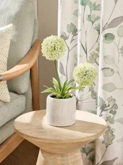 Kunstbloemen*Next Artificial Allium Plant In Ribbed Ceramic Pot