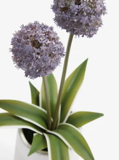 Kunstbloemen*Next Artificial Allium Plant In Ribbed Ceramic Pot