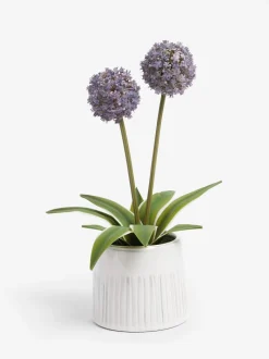 Kunstbloemen*Next Artificial Allium Plant In Ribbed Ceramic Pot