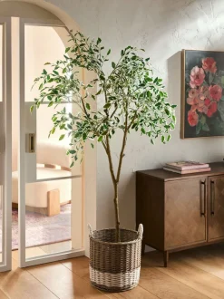 Kunstbloemen|Next Artificial Benjamina Tree With Variagated Leaves