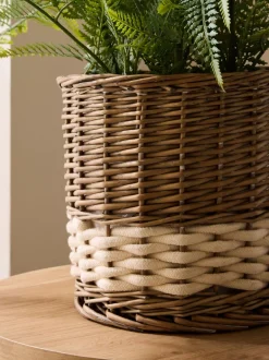 Kunstbloemen*Next Artificial Fern In Malvern Woven Basket