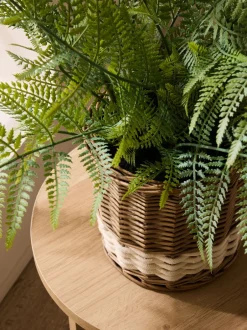 Kunstbloemen*Next Artificial Fern In Malvern Woven Basket