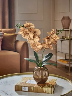 Kunstbloemen*Next Artificial Orchid In Ceramic Vase