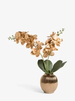 Kunstbloemen*Next Artificial Orchid In Ceramic Vase