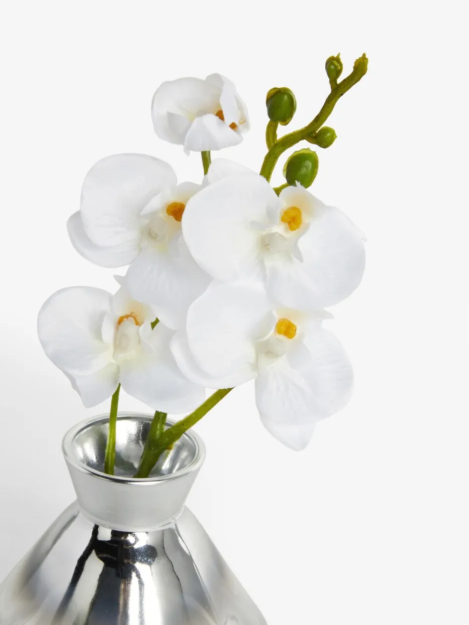 Kunstbloemen*Next Artificial Orchid In Small Glass Vase