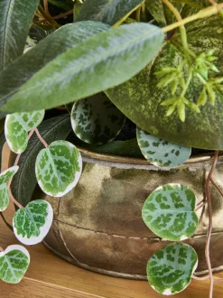 Kunstbloemen*Next Artificial Plant in Metal Bowl