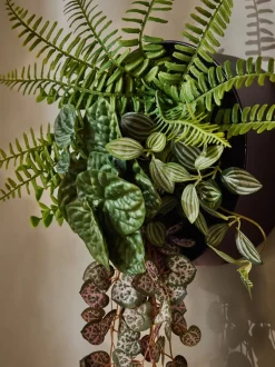 Kunstbloemen|Next Artificial Plants in Bronx Wall Hanging Planter