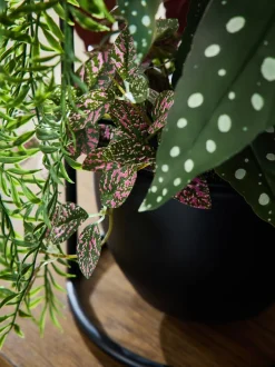 Kunstbloemen|Next Artificial Plants in Bronx Wall Hanging Planter
