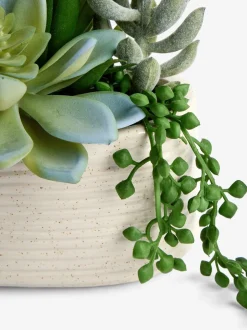 Kunstbloemen|Next Artificial Succulent Garden In Ceramic Pot