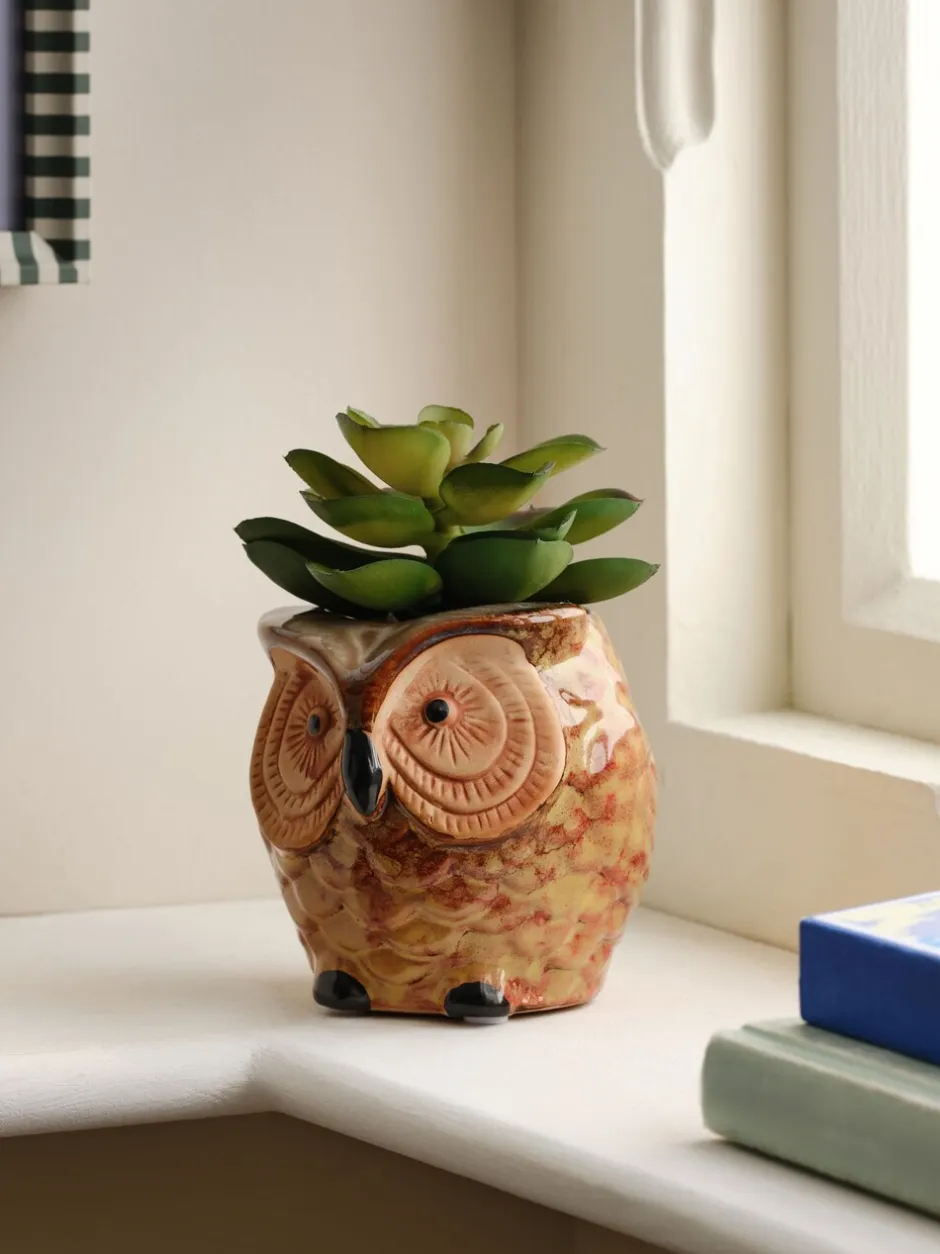Kunstbloemen*Next Artificial Succulent in Ceramic Owl Pot