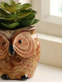 Kunstbloemen*Next Artificial Succulent in Ceramic Owl Pot