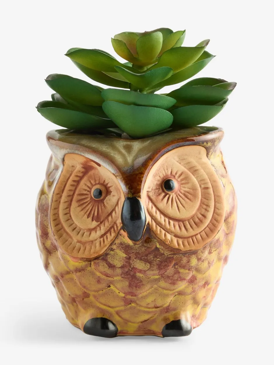 Kunstbloemen*Next Artificial Succulent in Ceramic Owl Pot