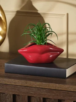 Kunstbloemen*Next Artificial Succulent in Red Lips Vase