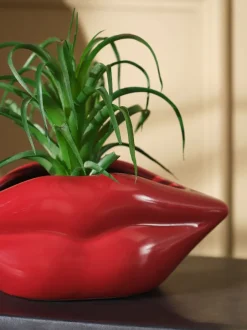 Kunstbloemen*Next Artificial Succulent in Red Lips Vase