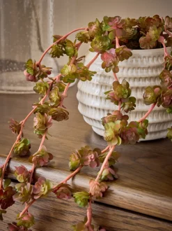 Kunstbloemen*Next Artificial Trailing Succulent in Ceramic Pot