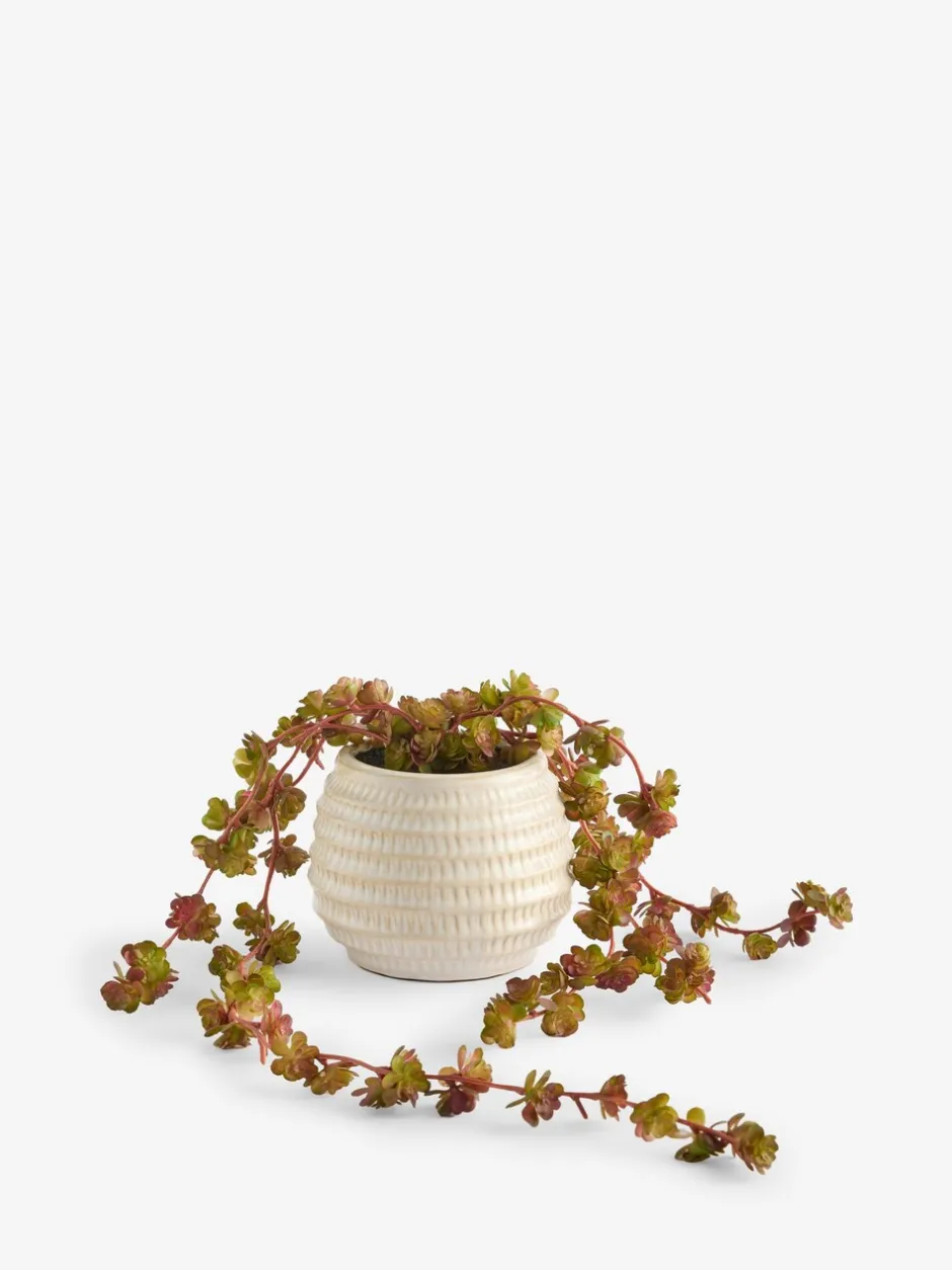 Kunstbloemen*Next Artificial Trailing Succulent in Ceramic Pot