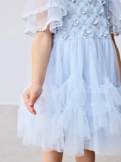 Gelegenheidskleding|Jurken|Baker by Ted Baker Blue Mesh Embroidered Detail Dress