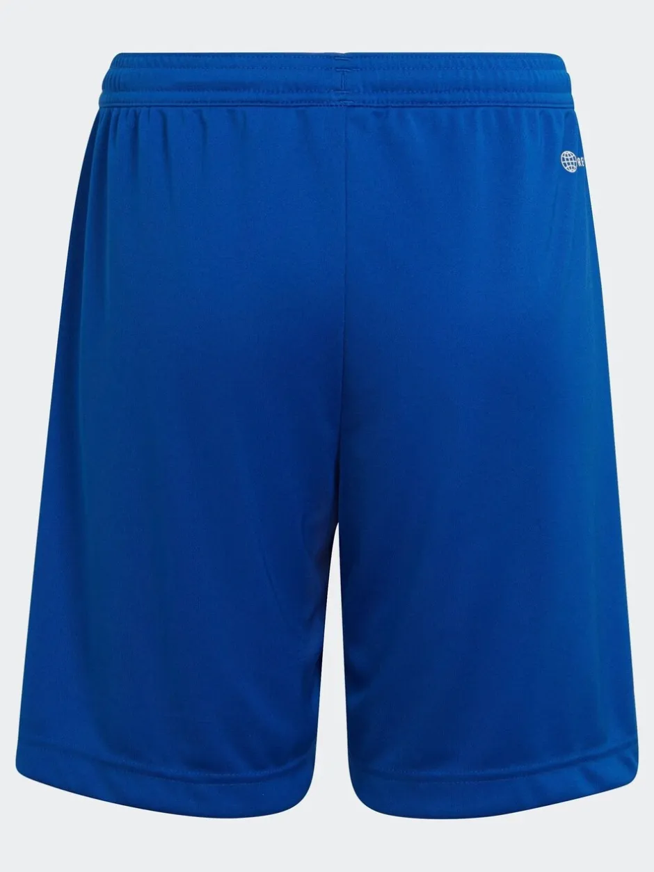 Shorts*adidas - Entrada 22 short Blauw