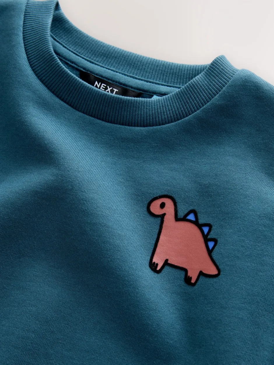 Truien En Breisels|Sweaters En Hoody´S*Next Blauw met dinosaurus - Jersey sweatshirt met ronde hals en print op de rug (3mnd -7jr)