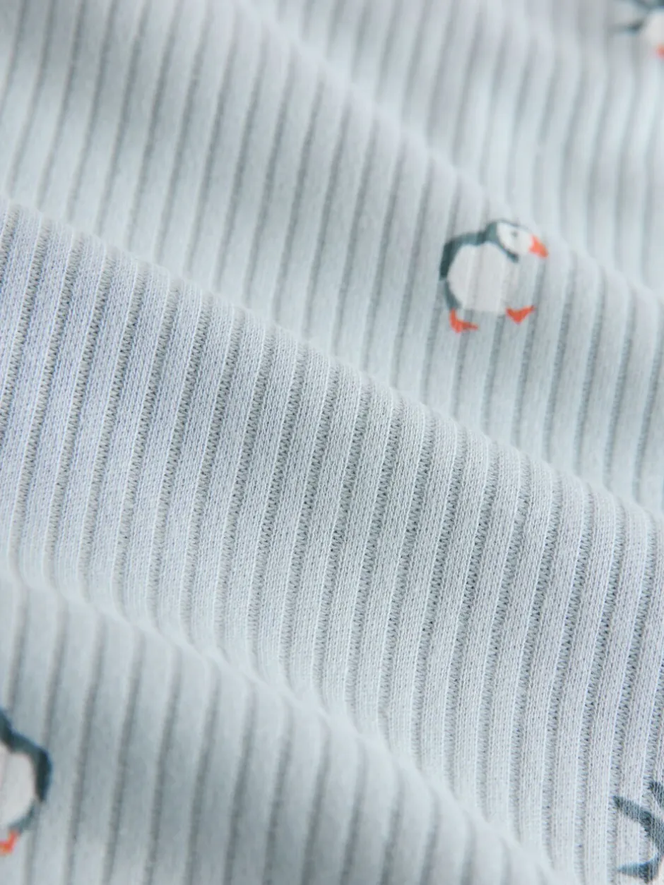 Pyjama's|Loungewear*Next - Geribbelde pyjama met lange mouwen Blauw met papegaaiduiker