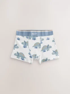 Ondergoed*Next - Verpakking van 5 trunks (1,5-12jr) Blauw/bruin met dinoprint