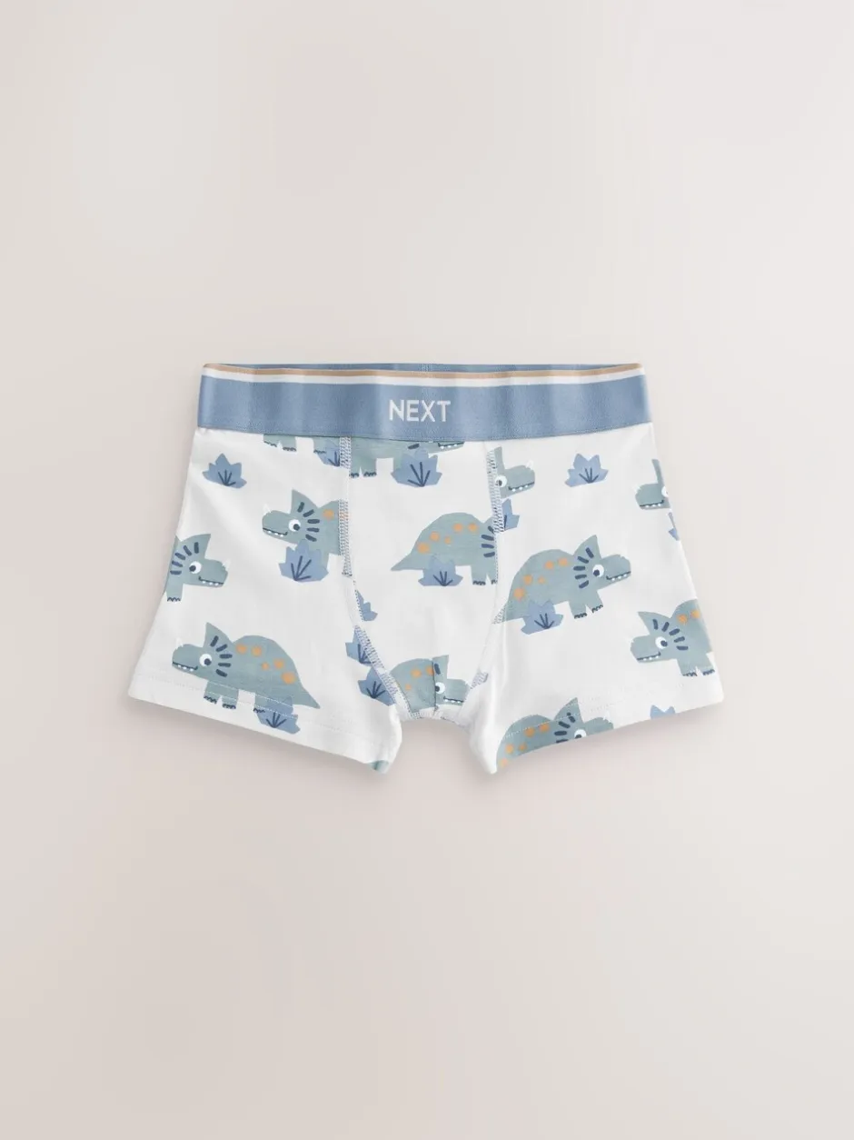 Ondergoed*Next - Verpakking van 5 trunks (1,5-12jr) Blauw/bruin met dinoprint