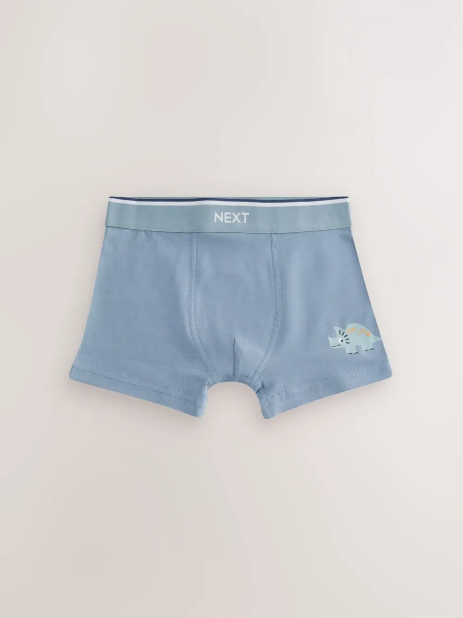 Ondergoed*Next - Verpakking van 5 trunks (1,5-12jr) Blauw/bruin met dinoprint