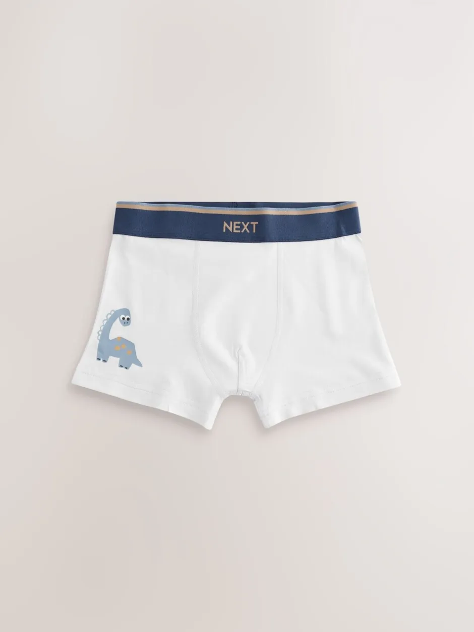 Ondergoed*Next - Verpakking van 5 trunks (1,5-12jr) Blauw/bruin met dinoprint