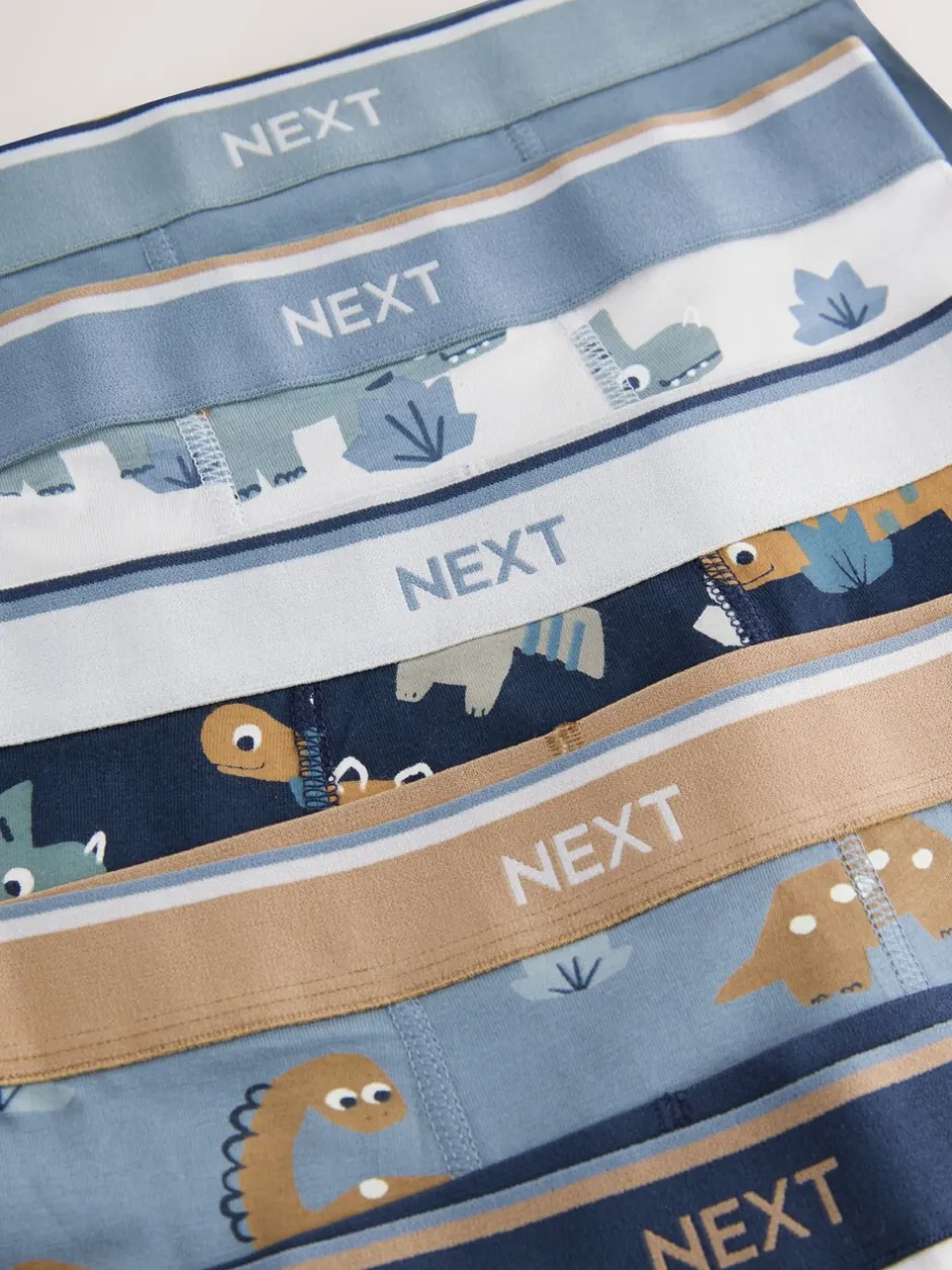 Ondergoed*Next - Verpakking van 5 trunks (1,5-12jr) Blauw/bruin met dinoprint