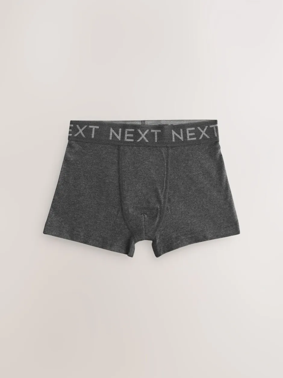 Multipacks|Ondergoed*Next Blauw/grijs - Verpakking van 10 trunks (1,5-16jr)