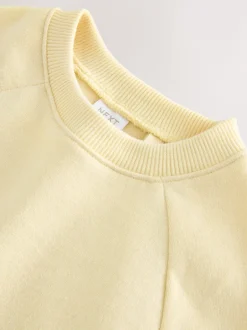 Truien En Breisels|Sweaters En Hoody´S*Next Boter Geel - Sweatshirt met ronde hals (3 mnd-7 jr)