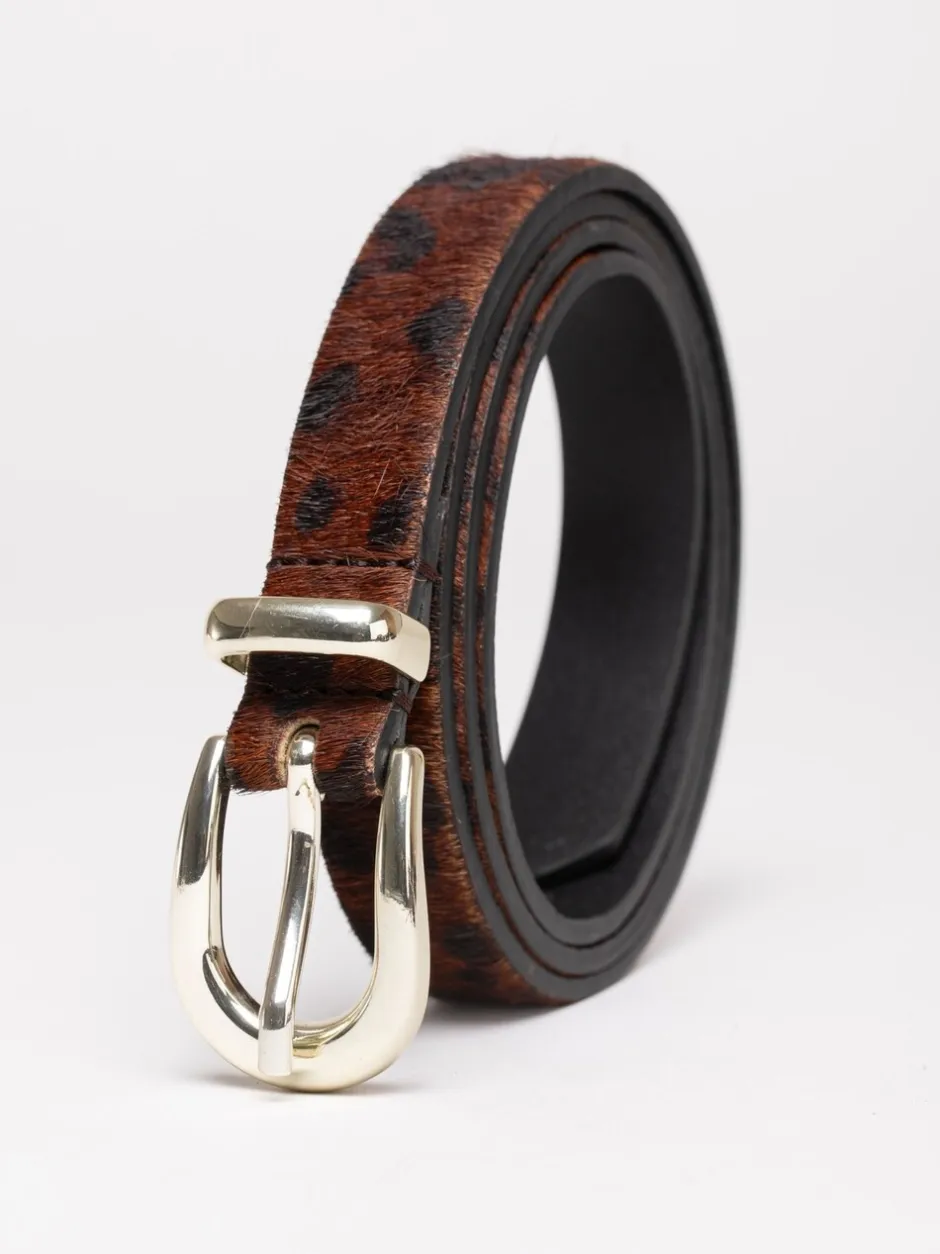 Ceintuurs|Lakeland Leather - Kirkby Belt Bruin