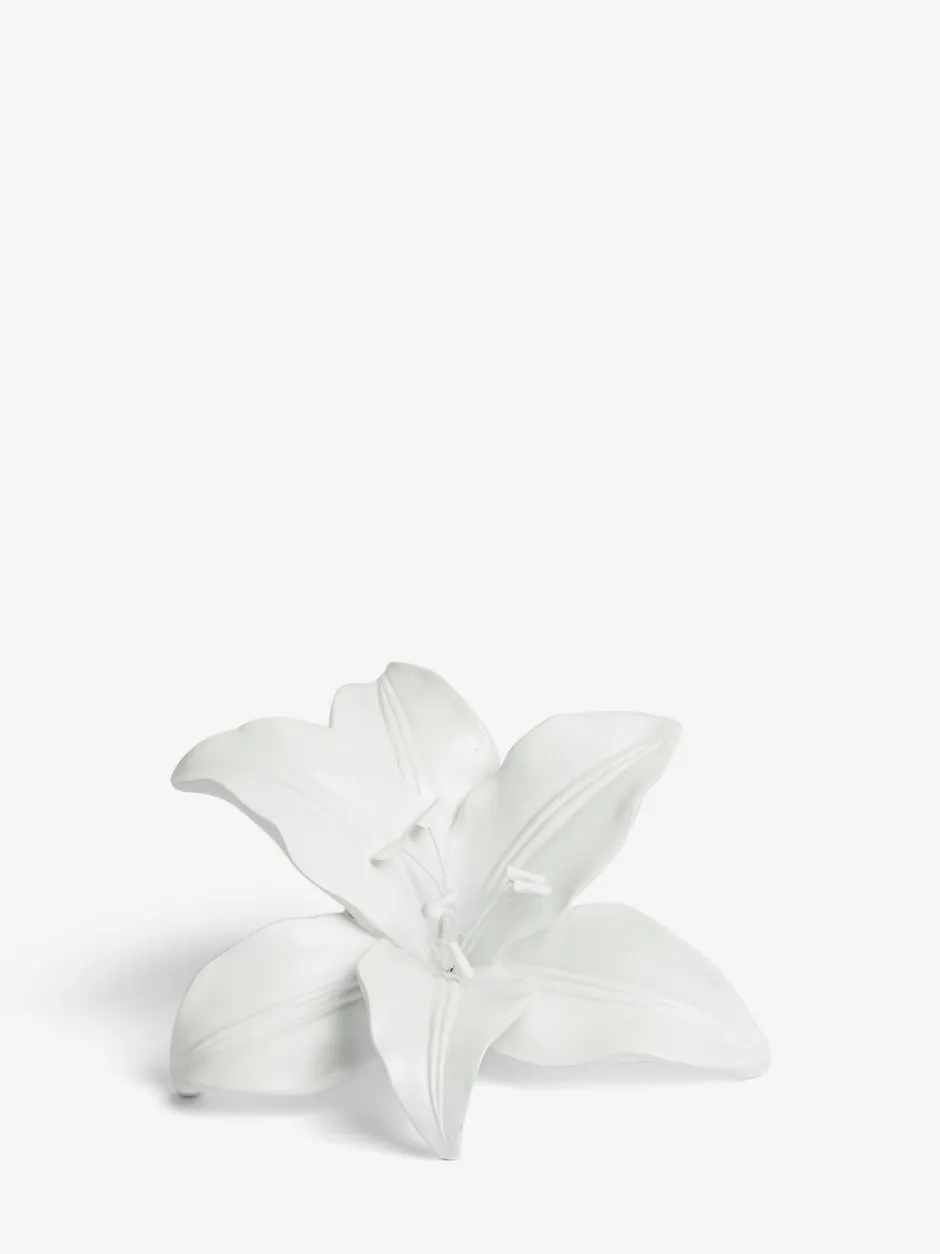 Decoraties|Next Decoratieve lelie