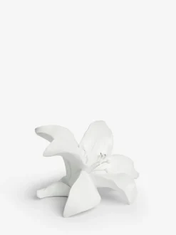 Decoraties|Next Decoratieve lelie