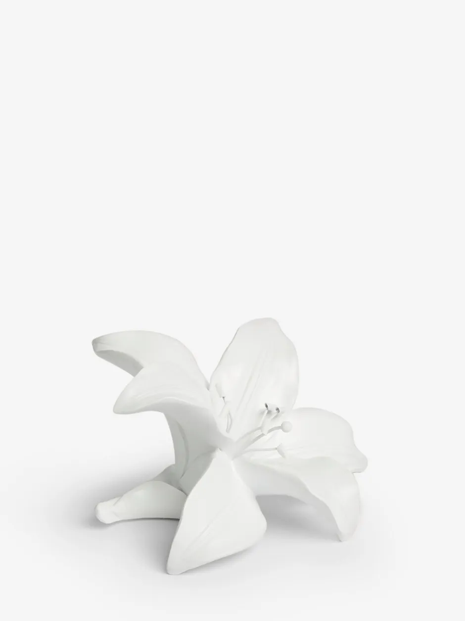 Decoraties|Next Decoratieve lelie