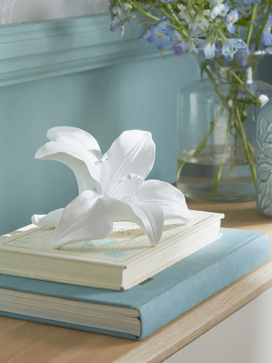 Decoraties|Next Decoratieve lelie