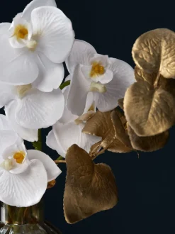 Kunstbloemen*Next Echte kunstorchidee met touch in goudkleurige glanzende vaas