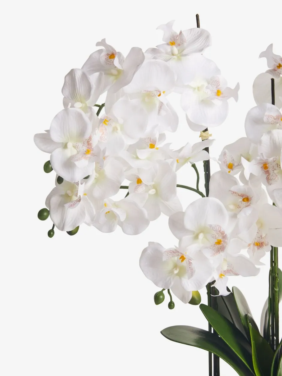 Kunstbloemen|Next Extra grote echt aanvoelende kunstorchidee in witte pot met houtden standaard