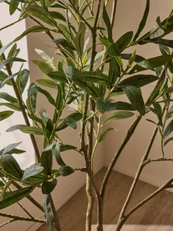 Kunstbloemen|Next 6ft Artificial Olive Tree