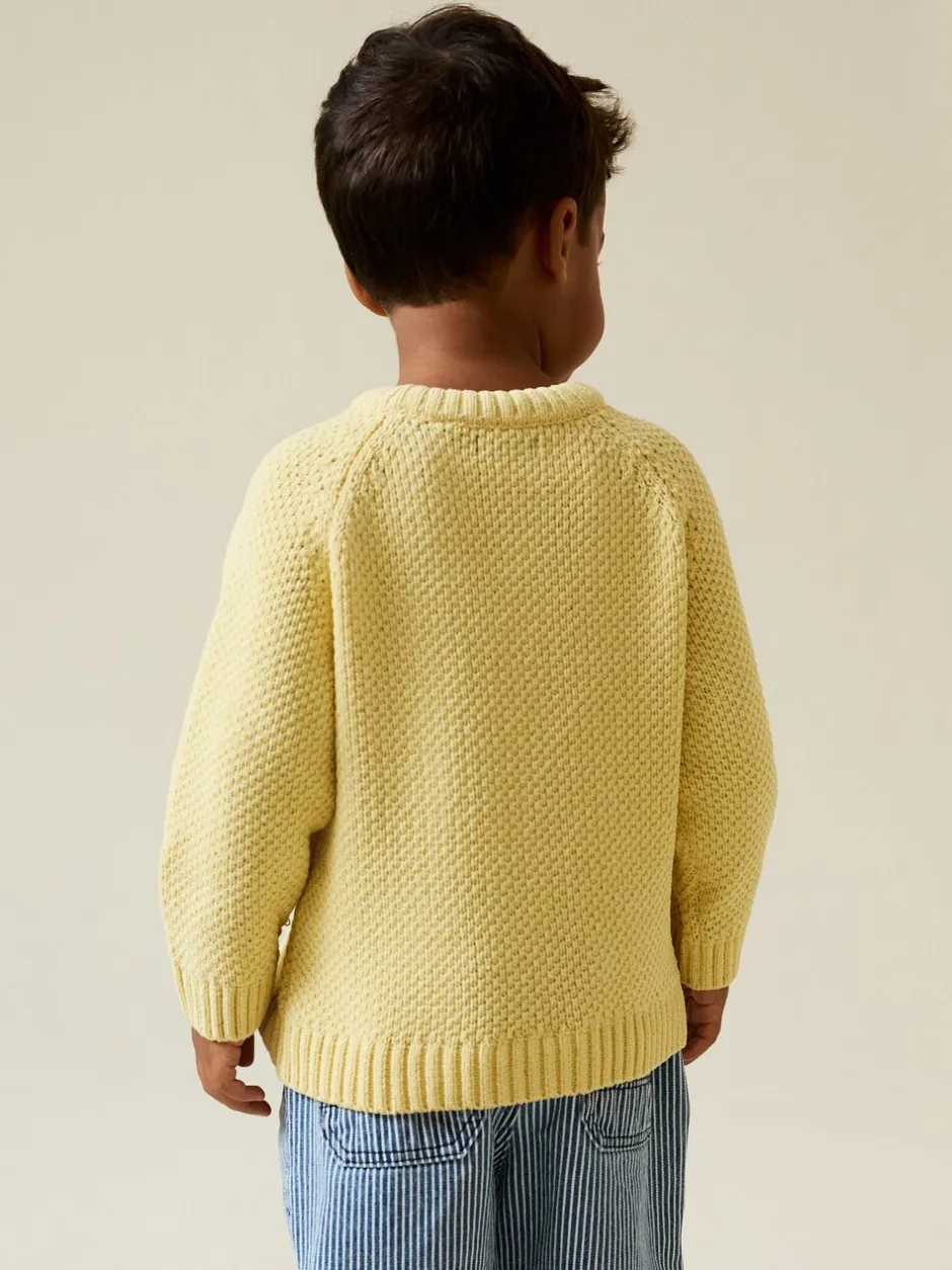Truien En Breisels*Next - Chenille Knitted Crew Neck Jumper (3mths-7yrs) Geel