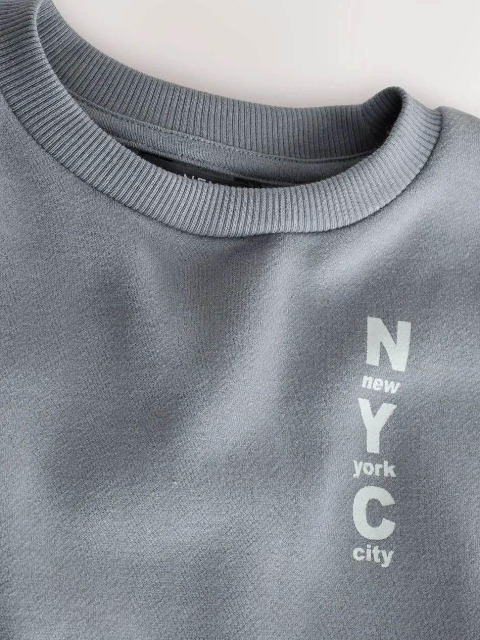 Truien En Breisels|Sweaters En Hoody´S|Next Grijs - Jersey sweatshirt met ronde hals en print op de rug (3mnd -7jr)