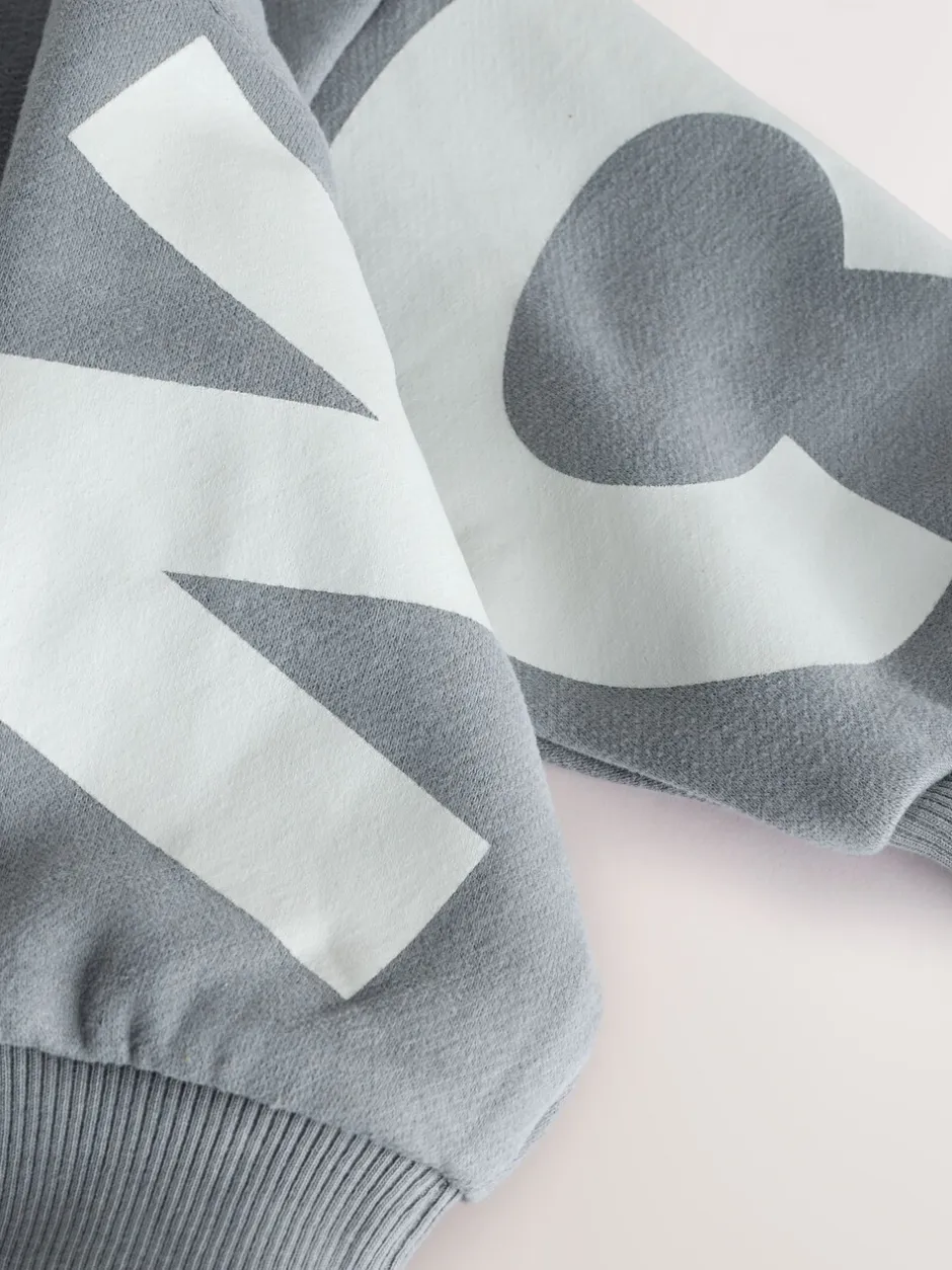 Truien En Breisels|Sweaters En Hoody´S|Next Grijs - Jersey sweatshirt met ronde hals en print op de rug (3mnd -7jr)