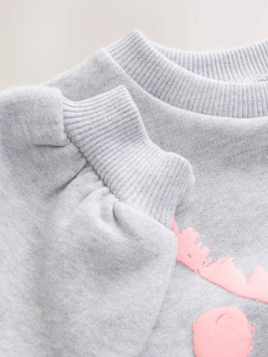 Truien En Breisels|Sweaters En Hoody´S|Next Grijs met eenhoornprint - Sweatshirt met ronde hals (3 mnd-7 jr)
