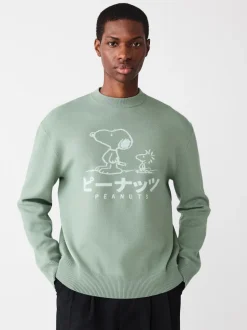 Gebreide Kleding*Next Grijs-groen - Relaxed Fit Snoopy Graphic Print Crew Neck Jumper