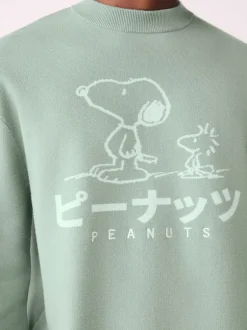 Gebreide Kleding*Next Grijs-groen - Relaxed Fit Snoopy Graphic Print Crew Neck Jumper