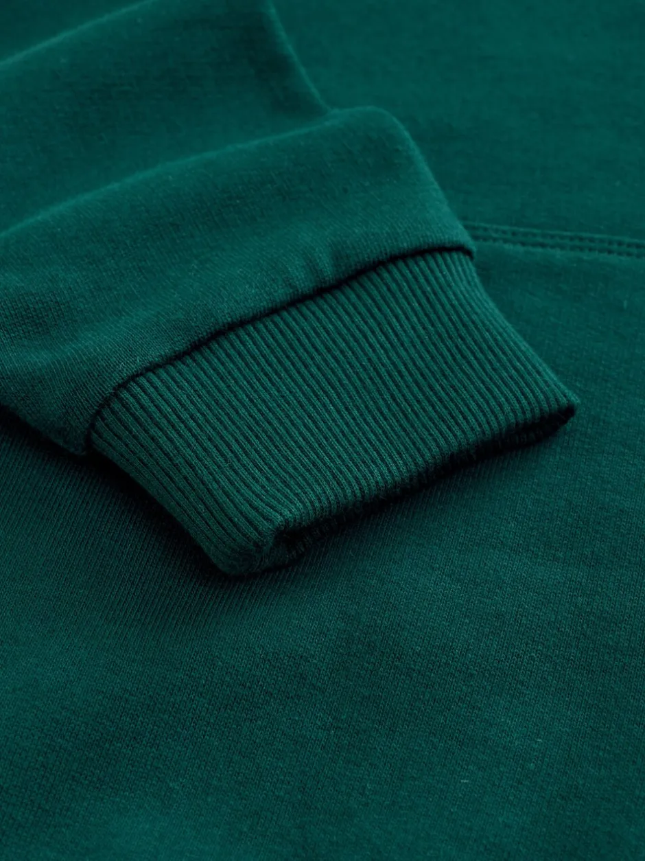 Sweaters En Hoody´S*Next - Hoodie met kleurblokken (3 - 16 jr) Groen