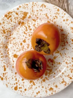 Eetservies En Pastaschalen|Hot Pottery Set of 4 Splatter Dinner Plates Donkeroranje